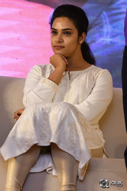 A-Aa-Movie-Success-Meet